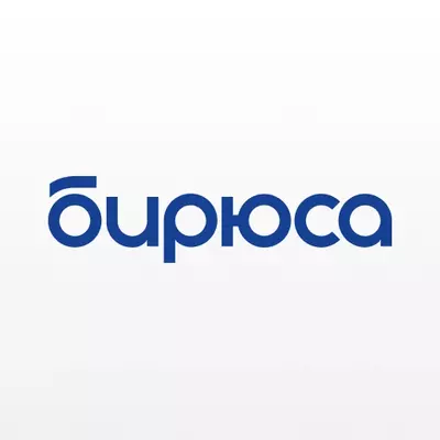 Бирюса стиральные машинки автомат