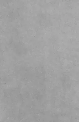 Jilvasiz kafellar (Matoviy)