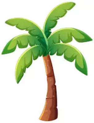 Palma Экзотик