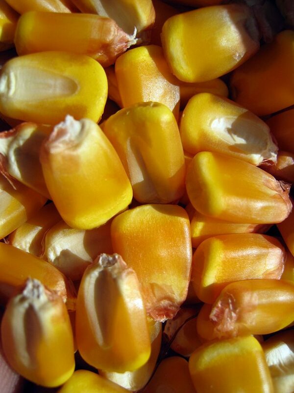 ФОТОГАЛЕРЕЯ